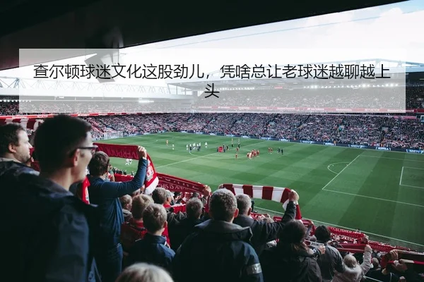 查尔顿球迷文化这股劲儿，凭啥总让老球迷越聊越上头