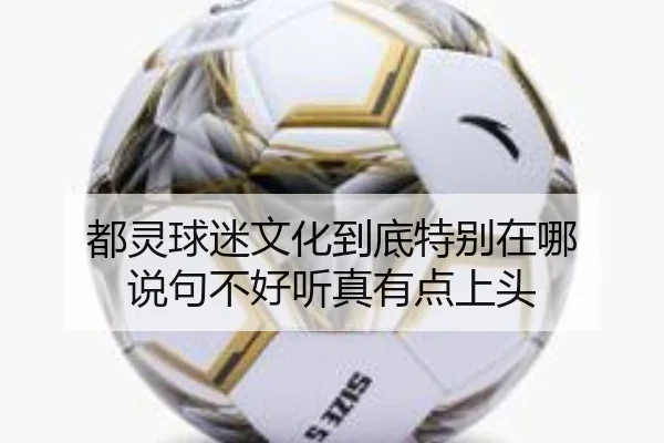 都灵球迷文化到底特别在哪 说句不好听真有点上头