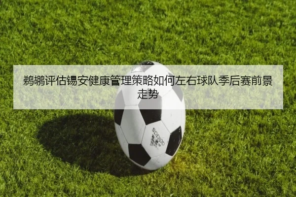 鹈鹕评估锡安健康管理策略如何左右球队季后赛前景走势