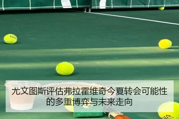 尤文图斯评估弗拉霍维奇今夏转会可能性的多重博弈与未来走向